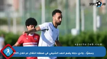 رسميًا.. وادي دجلة يضم أحمد الشيمي في صفقة انتقال حر خلال 2025